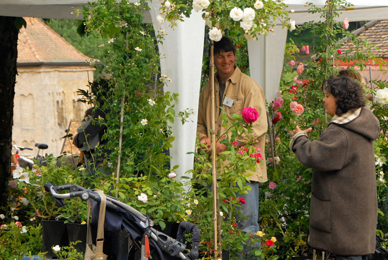 Fête de la Rose - Photo Marlène Rézenne