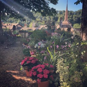 Fête de la Rose 2018